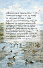 De-Vogels-van-de-Wadden-flaptekst-9789465482170