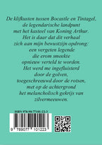 De-Zetel-van-de-Meermin-flaptekst-9789077101223