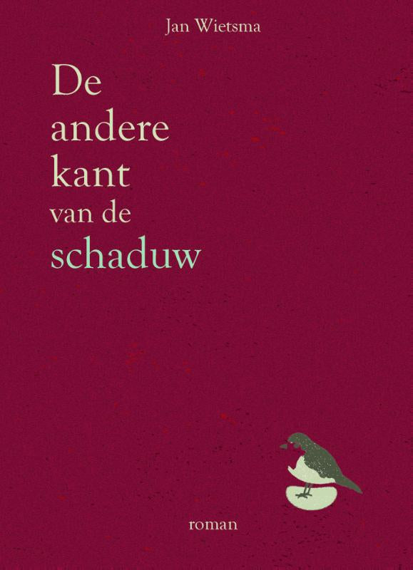De andere kant van de schaduw