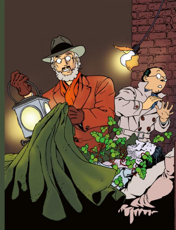 De-avonturen-van-Professor-Palmboom-boek-cover-9789088869624