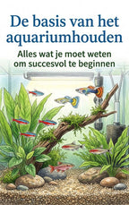 De-basis-van-het-aquariumhouden-boek-cover-9789465537375