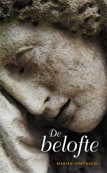 De-belofte-boek-cover-9789086961948