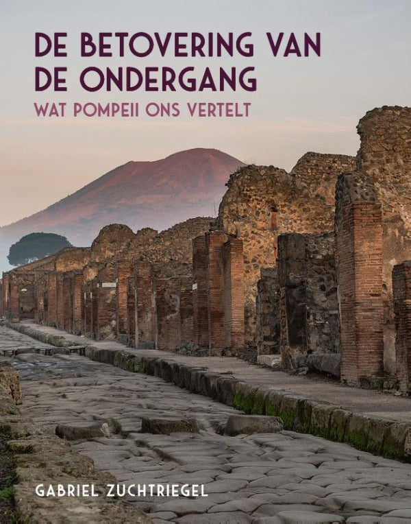 De-betovering-van-de-ondergang-boek-cover-9789464711073