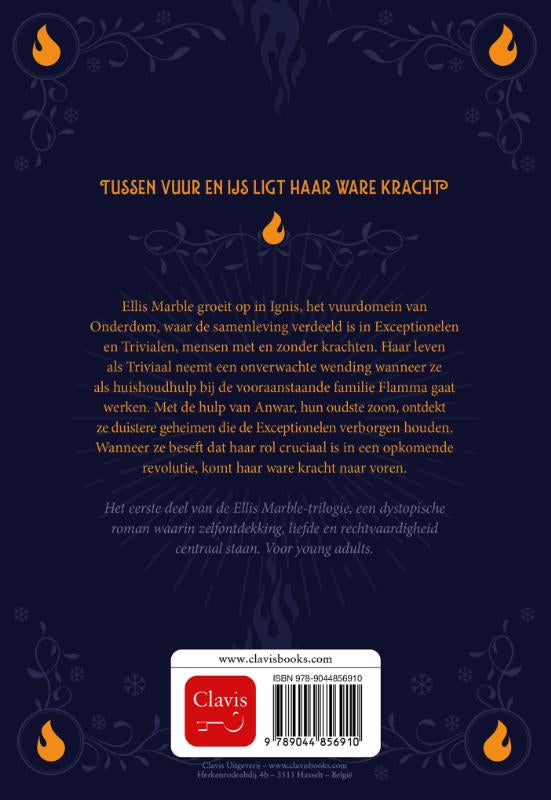 De-bevroren-vlammenzee-flaptekst-9789044856910