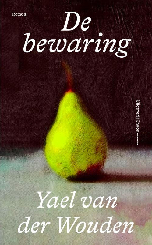 De-bewaring-boek-cover-9789493320604