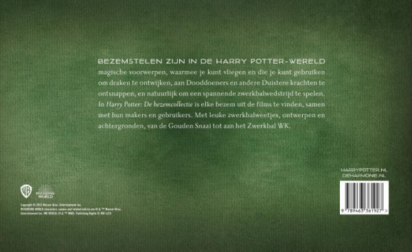 De-bezemcollectie-flaptekst-9789463361927