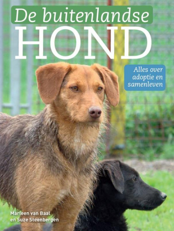 De-buitenlandse-hond-boek-cover-9789493300835