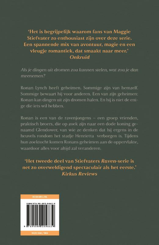 De-dromendieven-flaptekst-9789049204839