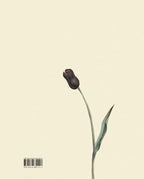 De-eend-de-dood-en-de-tulp-flaptekst-9789089672117