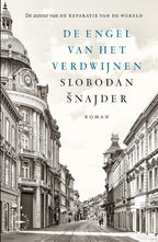 De-engel-van-het-verdwijnen-boek-cover-9789028453494