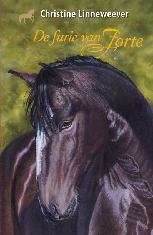 De-furie-van-Forte-boek-cover-9789020622959