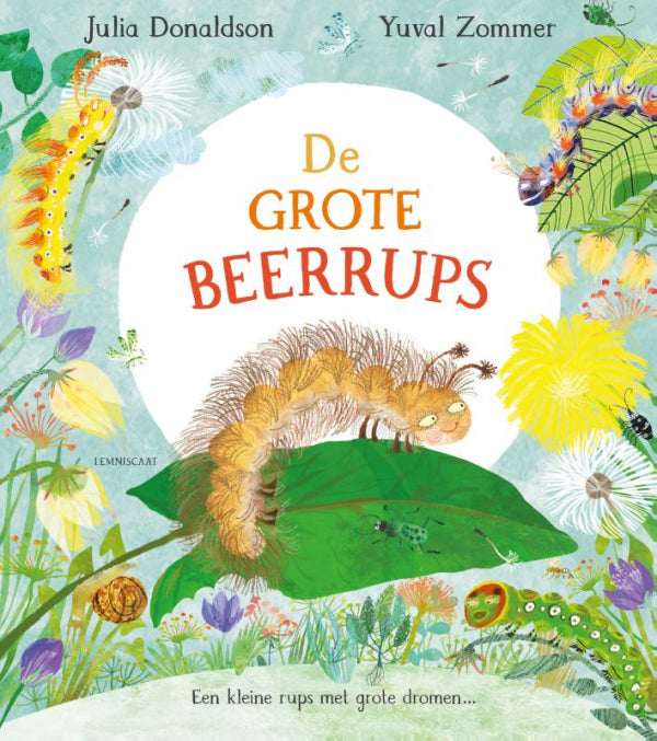 De-grote-beerrups-boek-cover-9789047713555