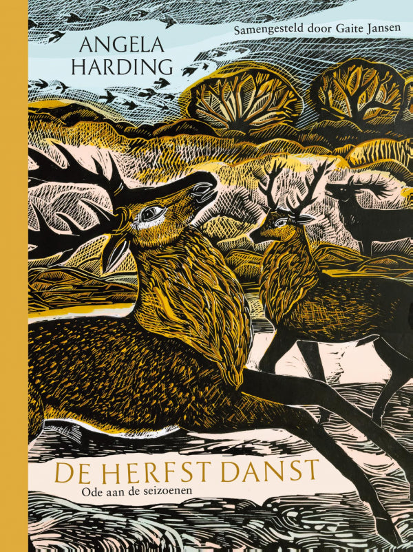 De-herfst-danst-boek-cover-9789464044164