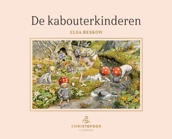 De-kabouterkinderen-boek-cover-9789062389438
