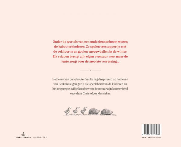 De-kabouterkinderen-flaptekst-9789062389438