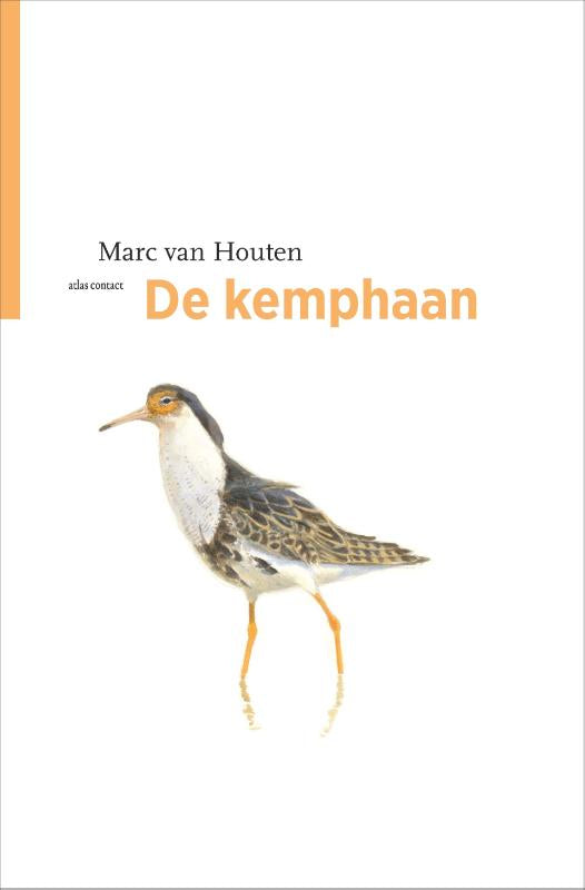 De kemphaan