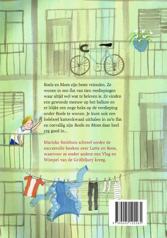 De-koning-van-de-flat-flaptekst-9789045125565