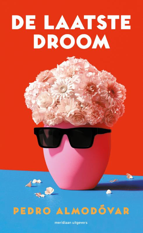 De-laatste-droom-boek-cover-9789493305144