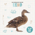 De-levensloop-van-een-eend-boek-cover-9789464395495