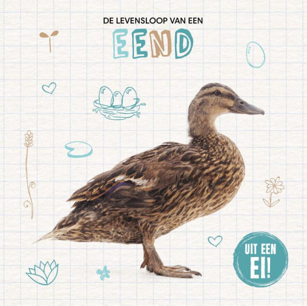 De-levensloop-van-een-eend-boek-cover-9789464395495