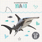 De-levensloop-van-een-haai-boek-cover-9789464396218