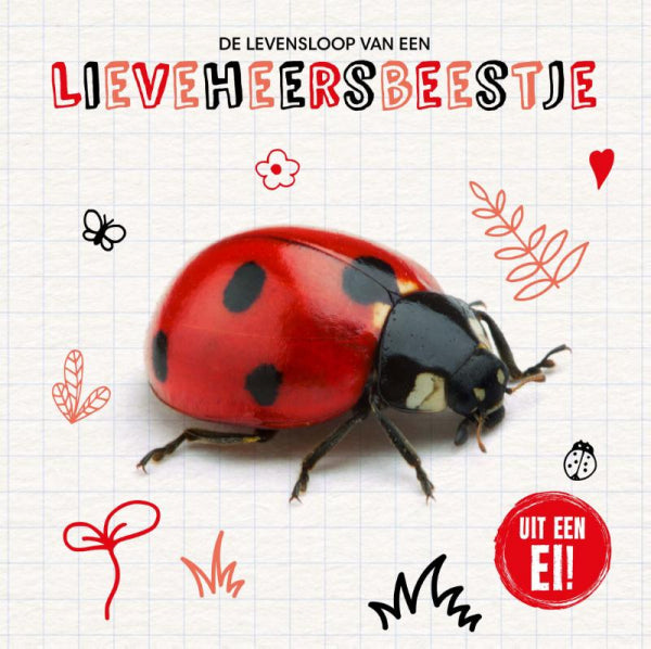 De-levensloop-van-een-lieveheersbeestje-boek-cover-9789464395471