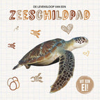 De-levensloop-van-een-zeeschildpad-boek-cover-9789464396188
