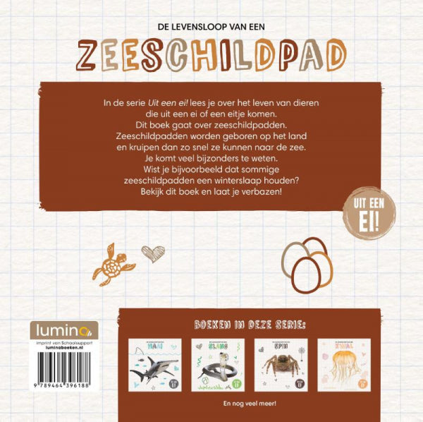 De-levensloop-van-een-zeeschildpad-flaptekst-9789464396188