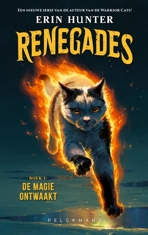 De-magie-ontwaakt-boek-cover-9789465303598