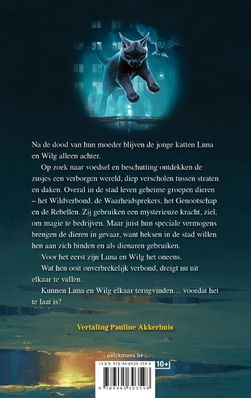 De-magie-ontwaakt-flaptekst-9789465303598