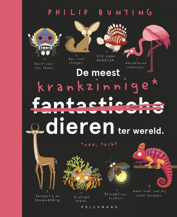 De-meest-krankzinnige-dieren-ter-wereld-boek-cover-9789463377416