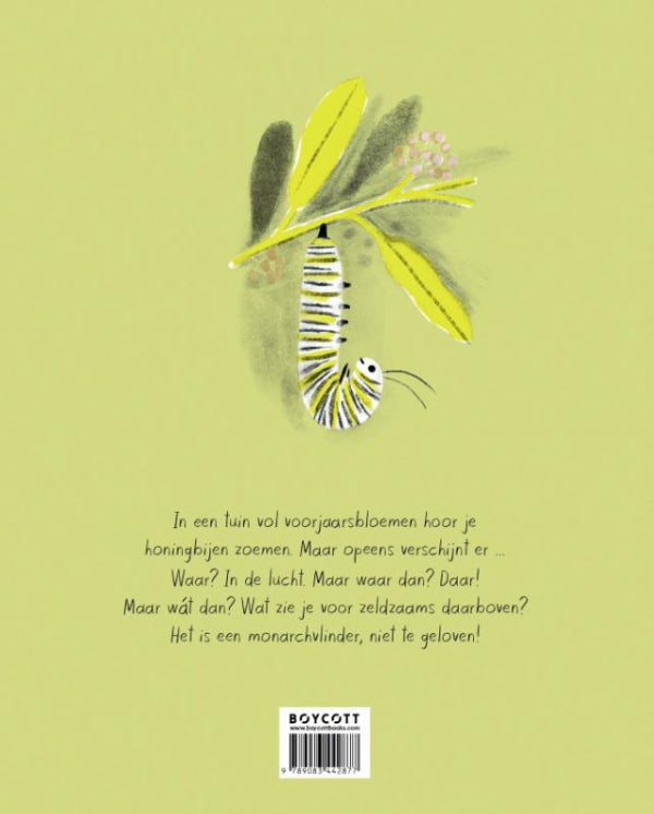 De-monarchvlinder-flaptekst-9789083442877