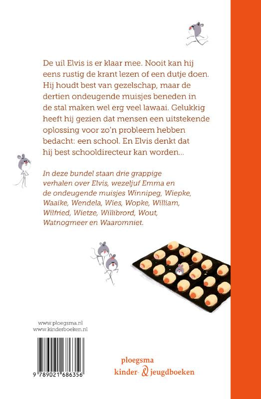 De-muizenschool-flaptekst-9789021686356