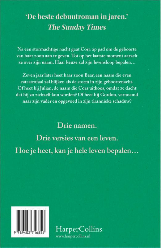 De-namen-flaptekst-9789402716856