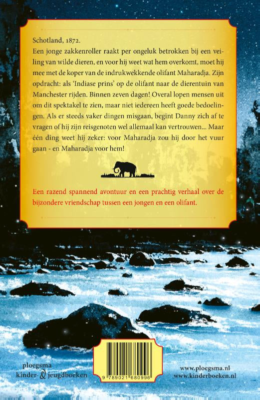 De-olifantendief-flaptekst-9789021680996