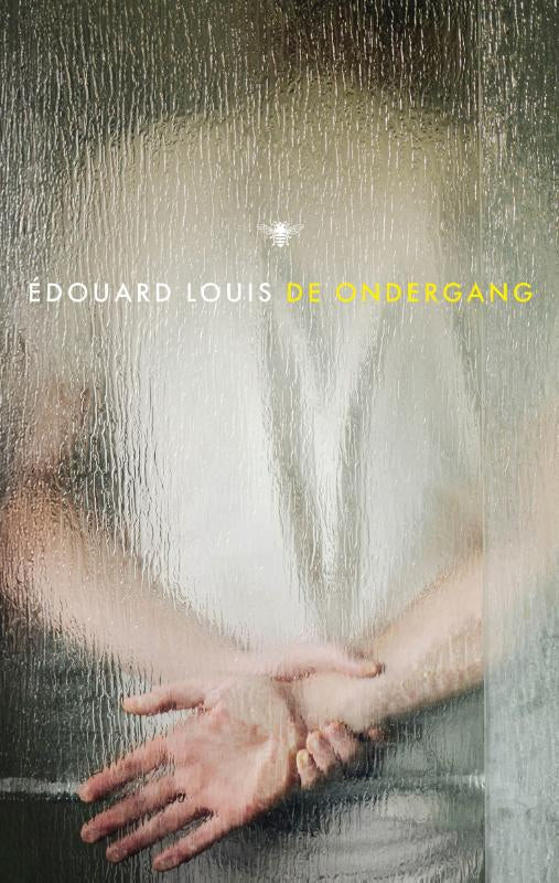 De-ondergang-boek-cover-9789403134161