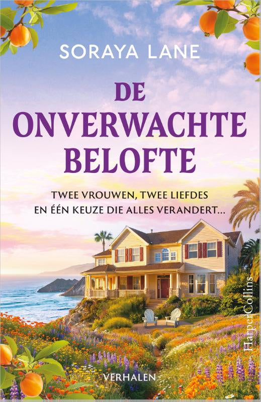 De onverwachte belofte
