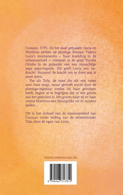 De-opdracht-van-Tula-flaptekst-9789047717812