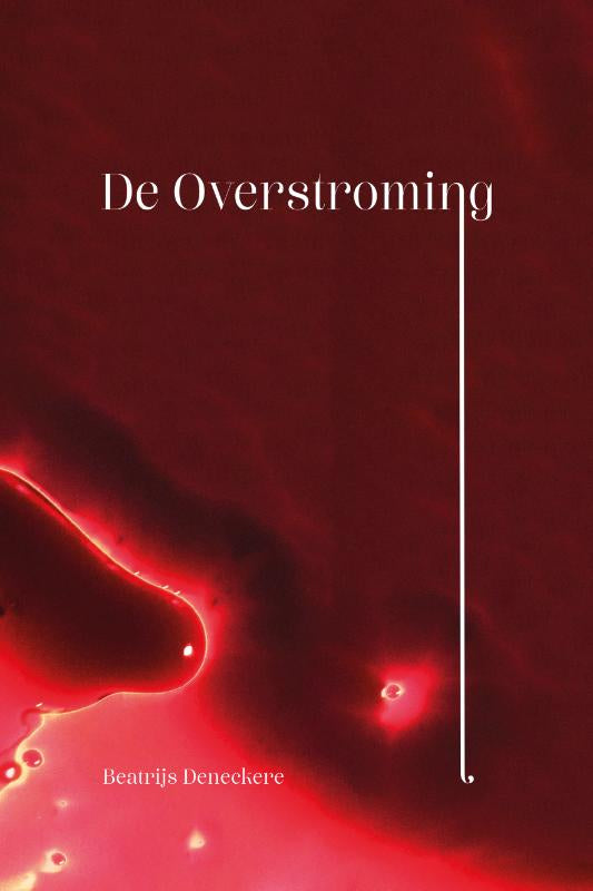 De-overstroming-boek-cover-9789493381254