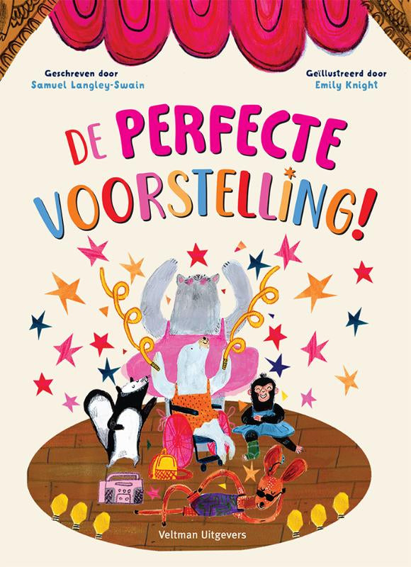 De-perfecte-voorstelling-boek-cover-9789048323760