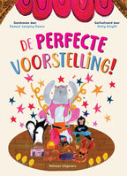 De-perfecte-voorstelling-boek-cover-9789048323760