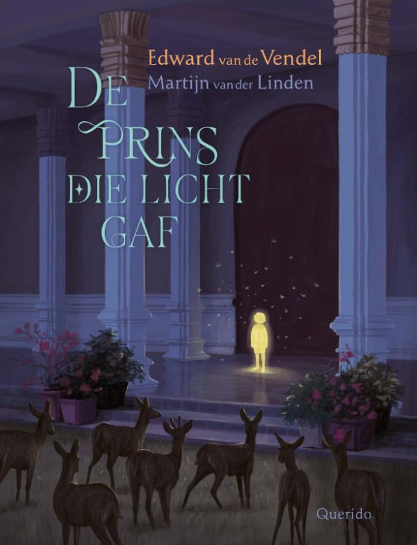 De-prins-die-licht-gaf-boek-cover-9789045131290