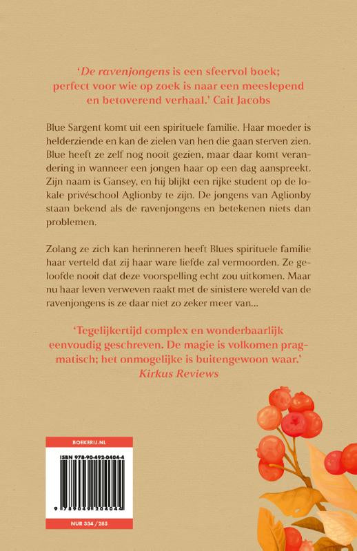 De-ravenjongens-flaptekst-9789049204044