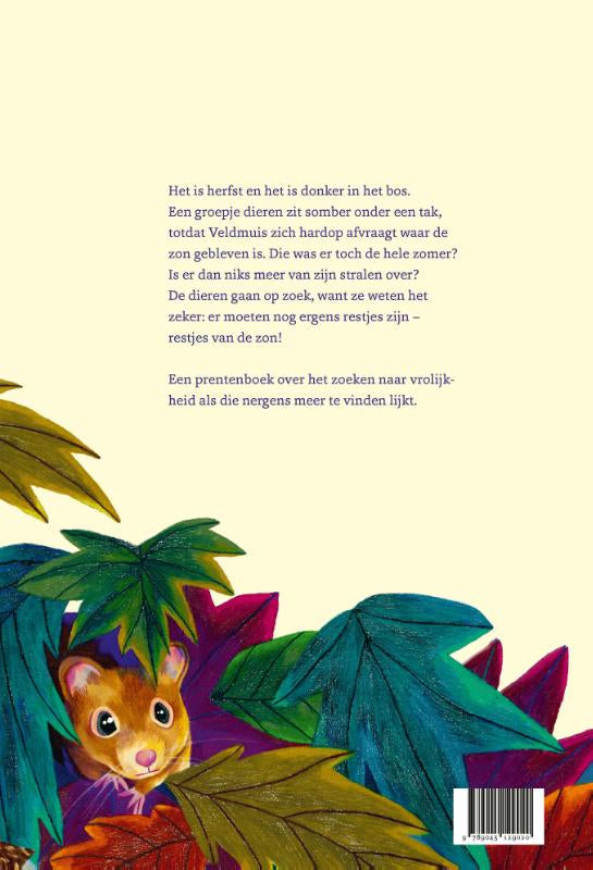 De-restjes-van-de-zon-flaptekst-9789045129020