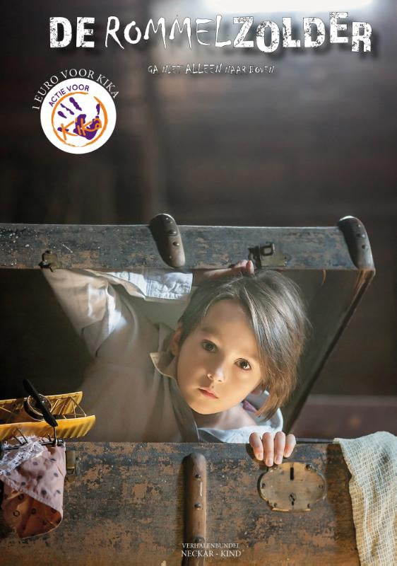 De-rommelzolder-boek-cover-9789493192157