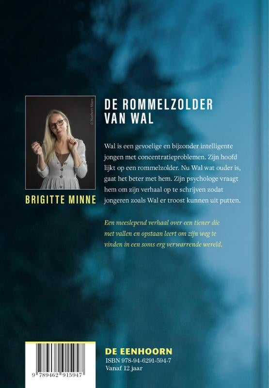 De-rommelzolder-van-Wal-flaptekst-9789462915947