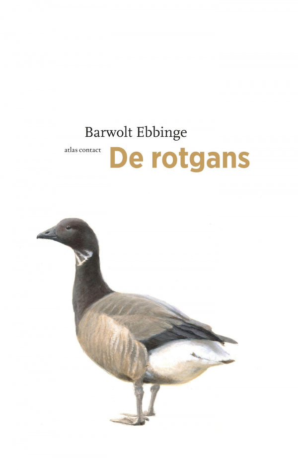De rotgans