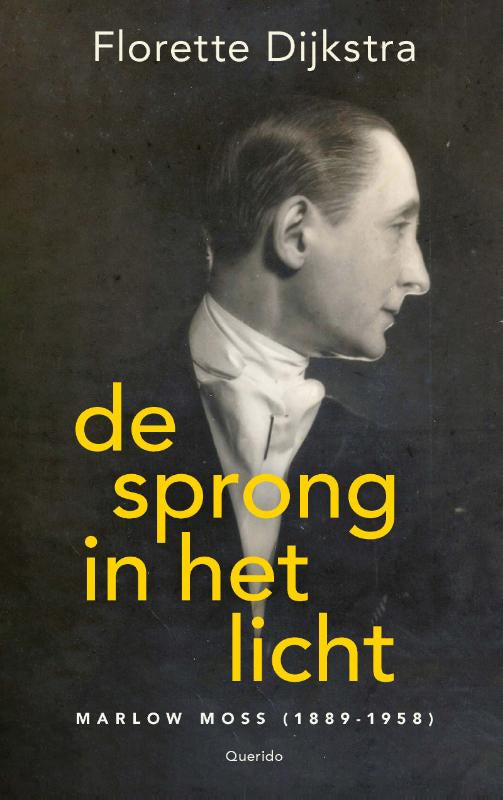 De-sprong-in-het-licht-boek-cover-9789021476773