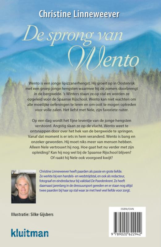 De-sprong-van-Wento-flaptekst-9789020622942