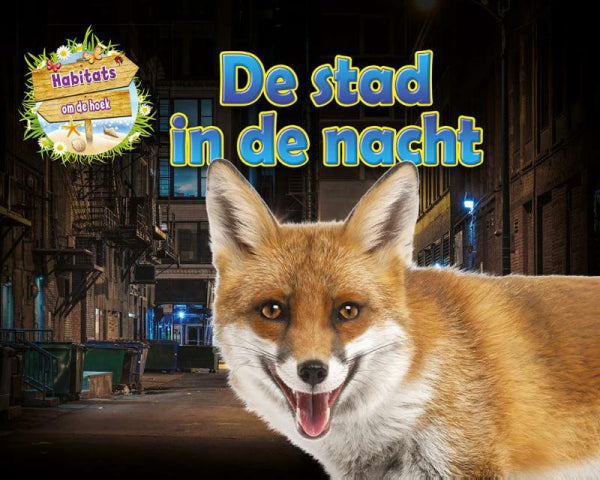 De stad in de nacht